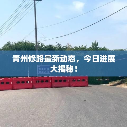 青州修路最新动态，今日进展大揭秘！