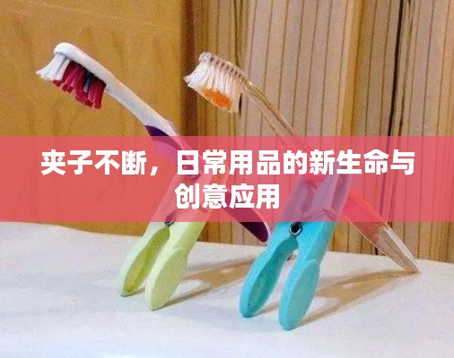 夹子不断，日常用品的新生命与创意应用