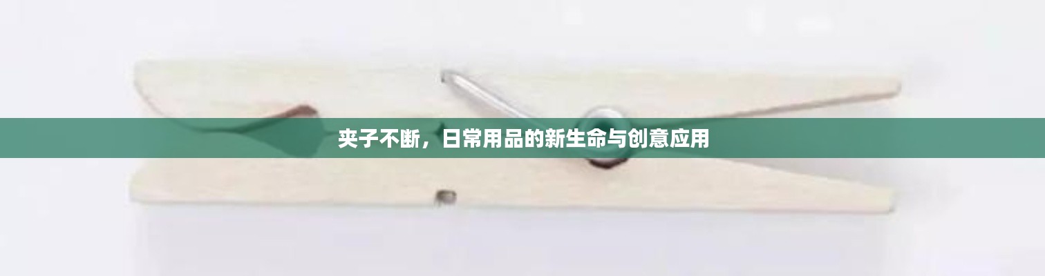 夹子不断,日常用品的新生命与创意应用