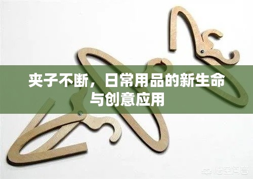 夹子不断,日常用品的新生命与创意应用