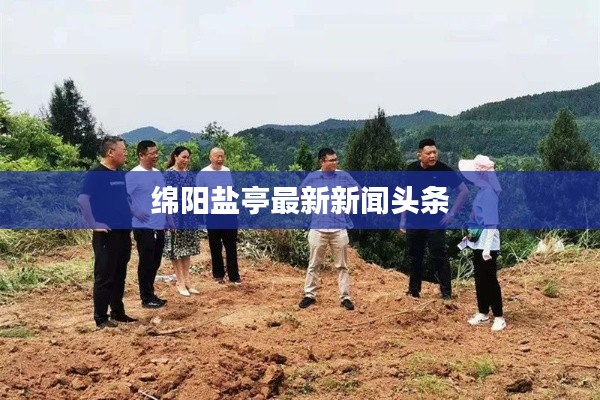 绵阳盐亭最新新闻头条