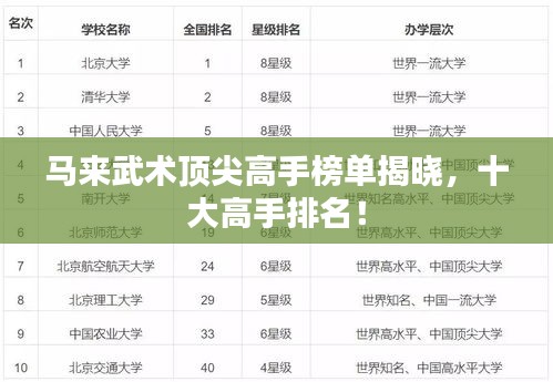 马来武术顶尖高手榜单揭晓，十大高手排名！