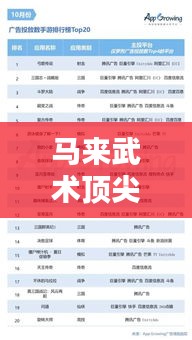 马来武术顶尖高手榜单揭晓,十大高手排名!