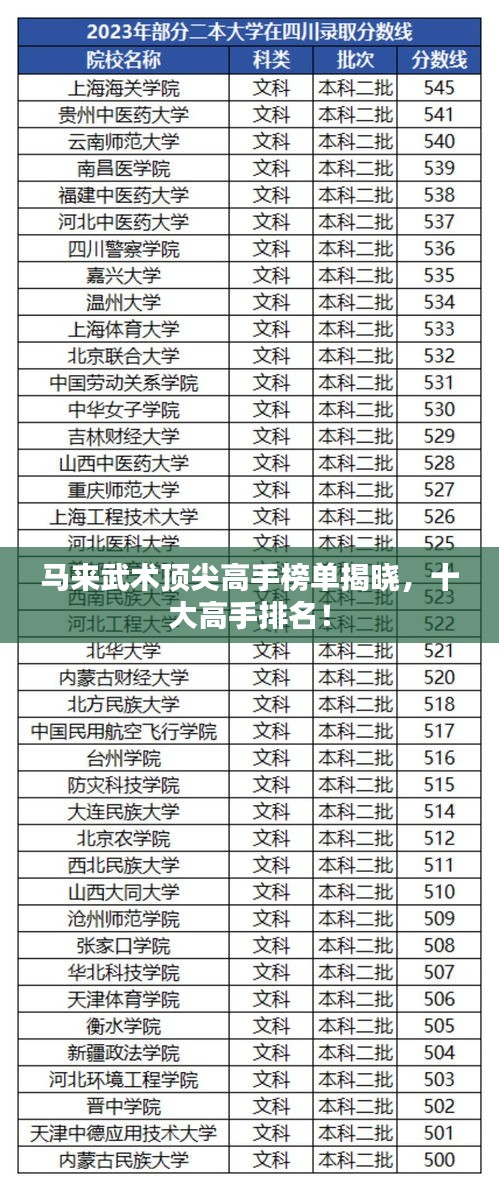 马来武术顶尖高手榜单揭晓,十大高手排名!