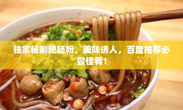 独家秘制肥肠粉，美味诱人，百度推荐必尝佳肴！