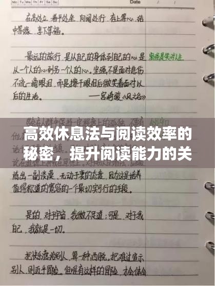 风驰电掣 第3页