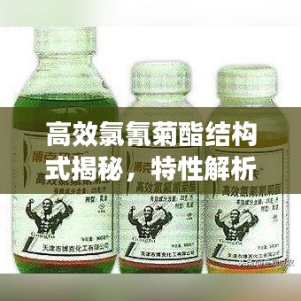 轻飞曼舞 第3页