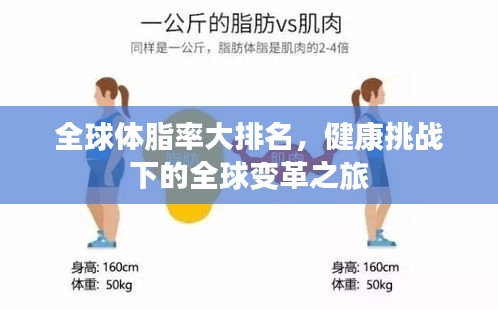 全球体脂率大排名，健康挑战下的全球变革之旅