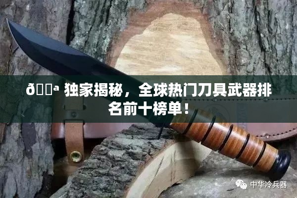 ? 独家揭秘，全球热门刀具武器排名前十榜单！