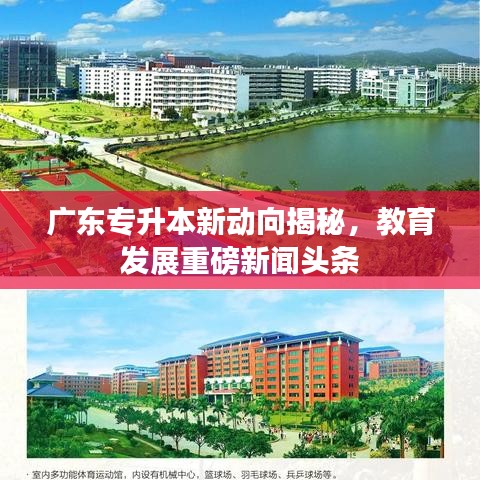 广东专升本新动向揭秘，教育发展重磅新闻头条