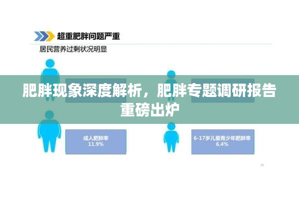肥胖现象深度解析，肥胖专题调研报告重磅出炉