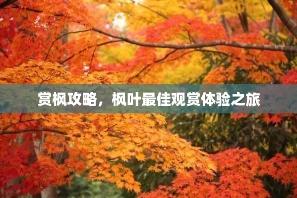 江南烟雨断桥殇 第3页