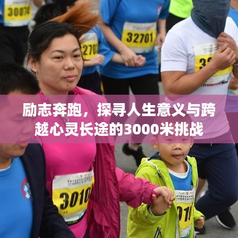 物稀为贵 第3页