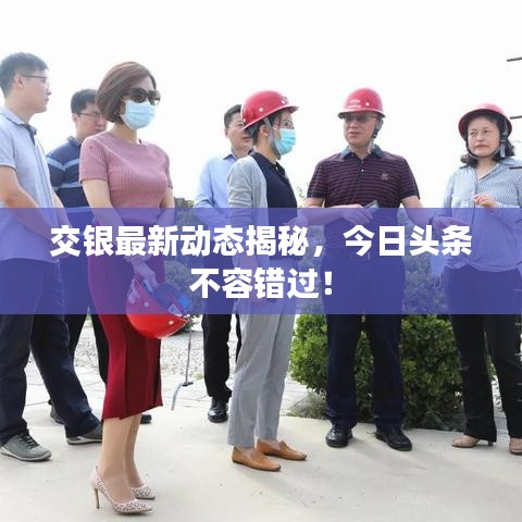 交银最新动态揭秘，今日头条不容错过！