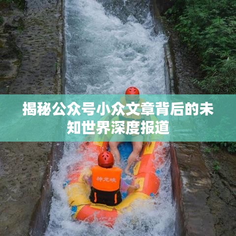 揭秘公众号小众文章背后的未知世界深度报道