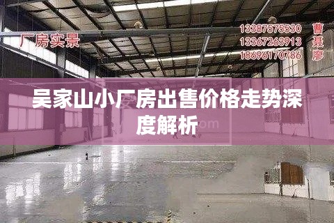 吴家山小厂房出售价格走势深度解析