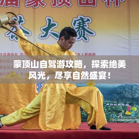 蒙顶山自驾游攻略，探索绝美风光，尽享自然盛宴！