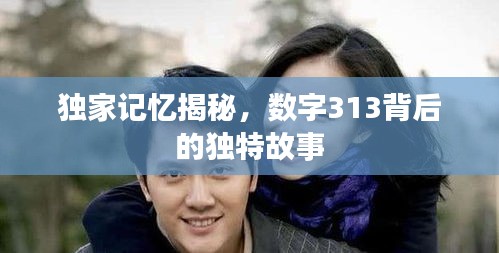 独家记忆揭秘，数字313背后的独特故事