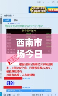 西南市场今日最新价格动态及分析，揭秘影响因素，把握市场趋势