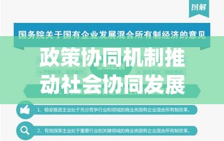政策协同机制推动社会协同发展，核心动力揭秘