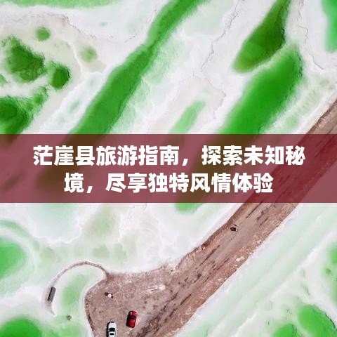 勤勤恳恳 第3页
