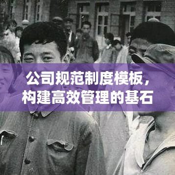 公司规范制度模板，构建高效管理的基石，助力企业腾飞！