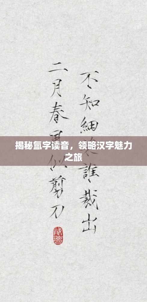 揭秘氲字读音,领略汉字魅力之旅