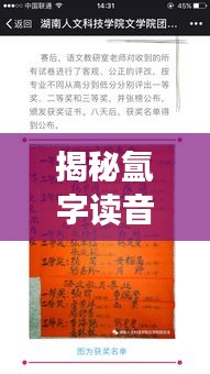 揭秘氲字读音,领略汉字魅力之旅