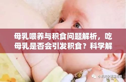 母乳喂养与积食问题解析，吃母乳是否会引发积食？科学解读！