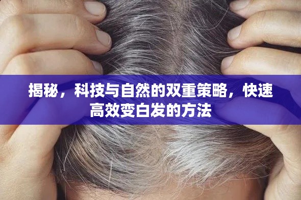 揭秘,科技与自然的双重策略,快速高效变白发的方法