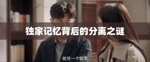 独家记忆背后的分离之谜