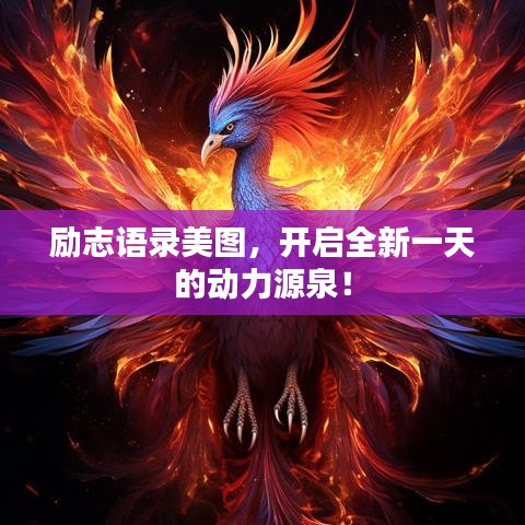励志语录美图，开启全新一天的动力源泉！