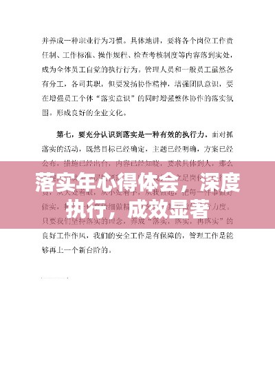 落实年心得体会，深度执行，成效显著