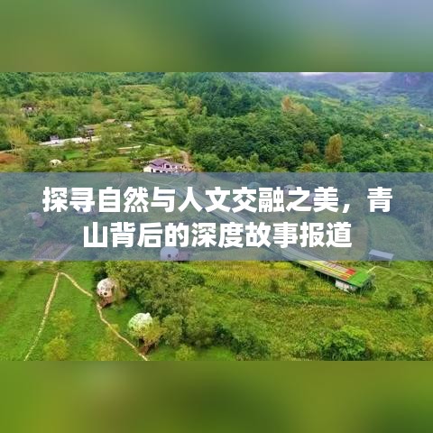 探寻自然与人文交融之美，青山背后的深度故事报道