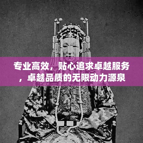 专业高效，贴心追求卓越服务，卓越品质的无限动力源泉