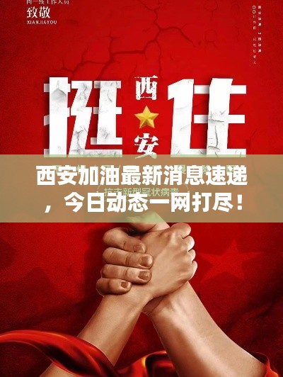 西安加油最新消息速递，今日动态一网打尽！