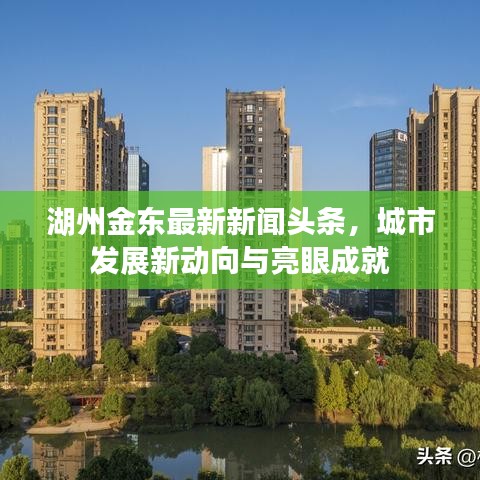 湖州金东最新新闻头条，城市发展新动向与亮眼成就