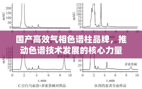 国产高效气相色谱柱品牌，推动色谱技术发展的核心力量
