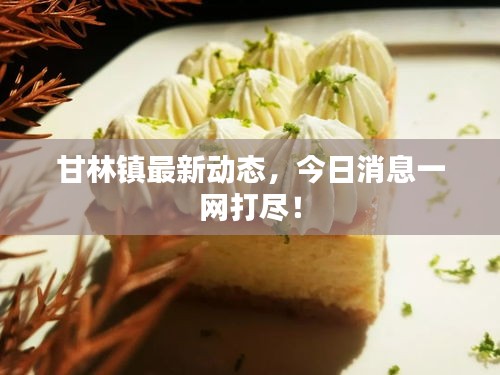 甘林镇最新动态，今日消息一网打尽！