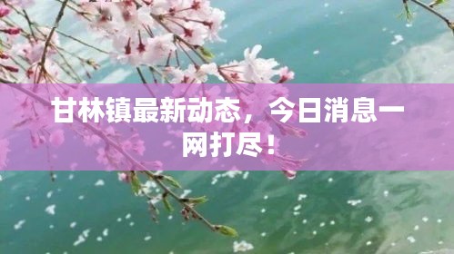 甘林镇最新动态,今日消息一网打尽!