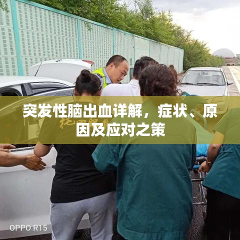 突发性脑出血详解，症状、原因及应对之策