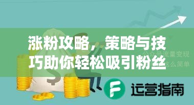 涨粉攻略，策略与技巧助你轻松吸引粉丝关注！
