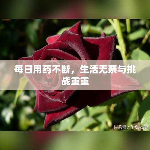 每日用药不断,生活无奈与挑战重重