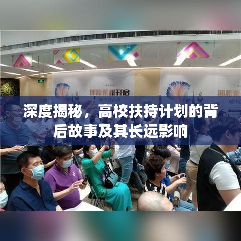 深度揭秘，高校扶持计划的背后故事及其长远影响