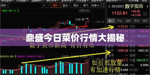 鼎盛今日菜价行情大揭秘
