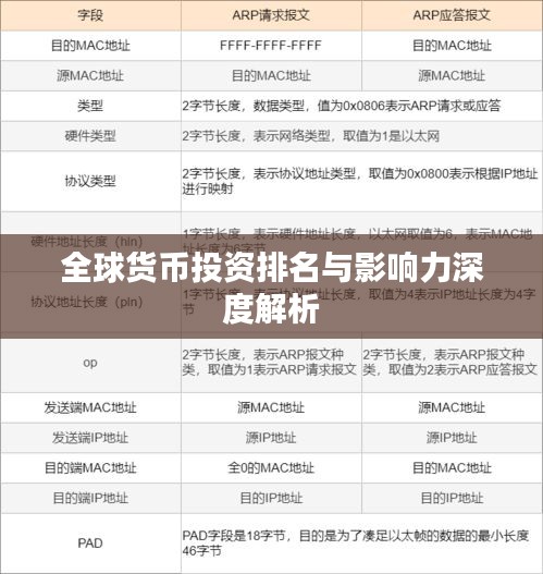 洵属可贵 第3页