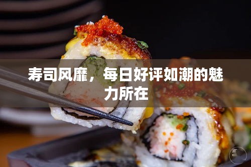 寿司风靡，每日好评如潮的魅力所在