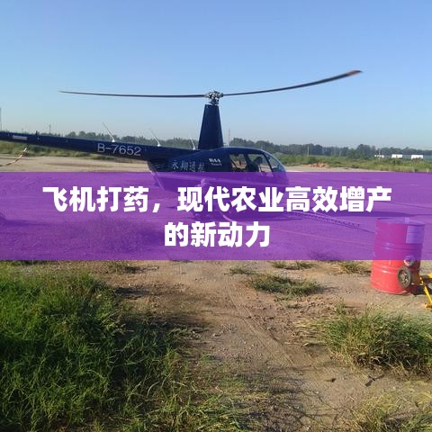 达官贵人 第2页