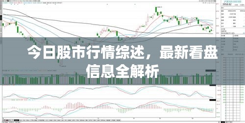 九死一生 第3页