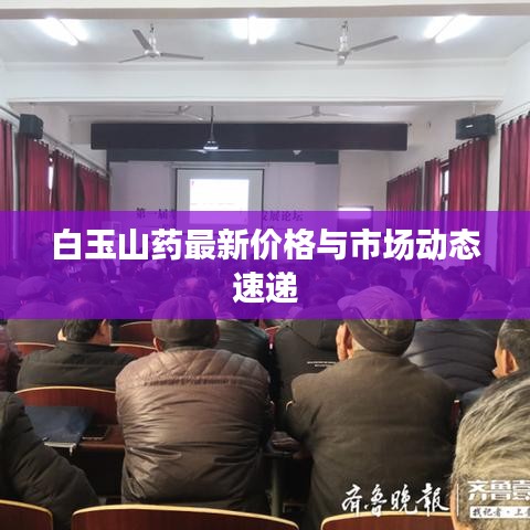 白玉山药最新价格与市场动态速递
